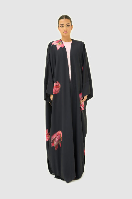 Alternative view of SB25-031