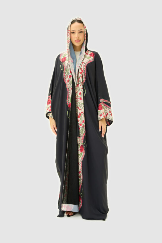 Alternative view of SB25-024