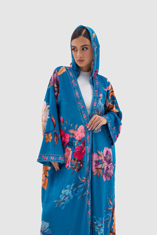 Alternative view of SV25-017