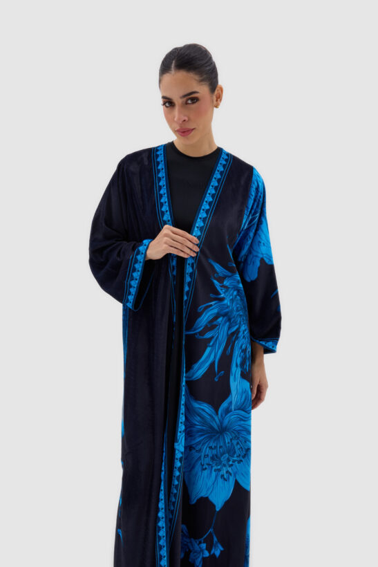 Alternative view of SV25-014