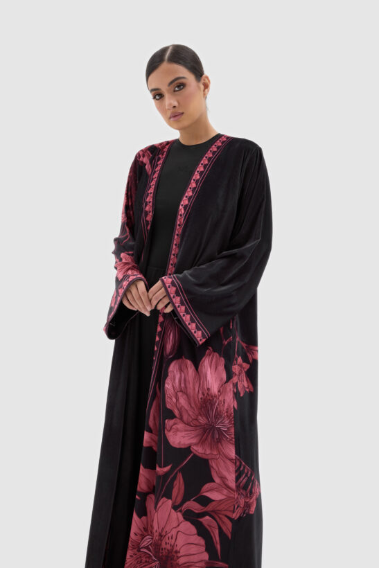 Alternative view of SV25-019